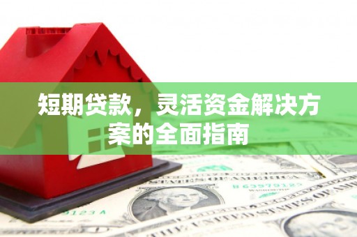 无极短期贷款，灵活资金解决方案的全面指南