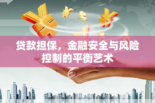 无极贷款担保，金融安全与风险控制的平衡艺术