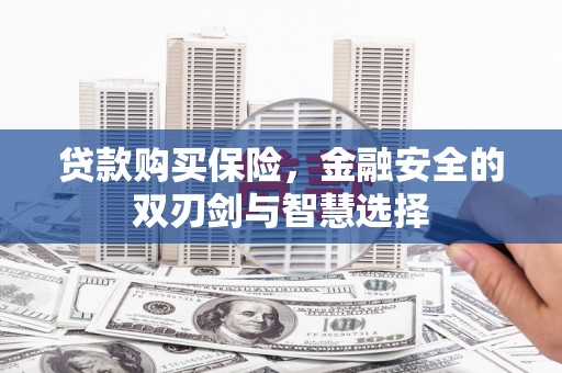 无极贷款购买保险，金融安全的双刃剑与智慧选择