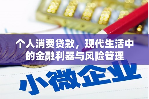 无极个人消费贷款，现代生活中的金融利器与风险管理