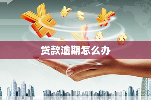 无极贷款逾期怎么办