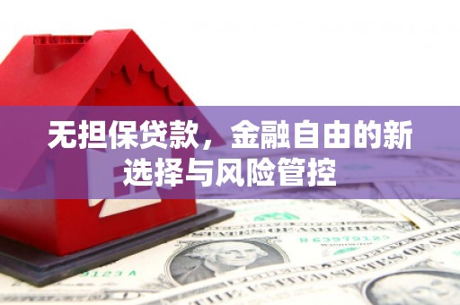 无极无担保贷款，金融自由的新选择与风险管控