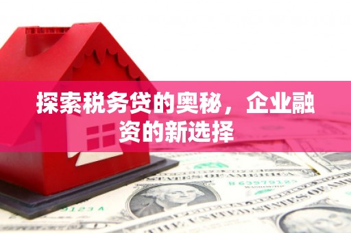 无极探索税务贷的奥秘，企业融资的新选择