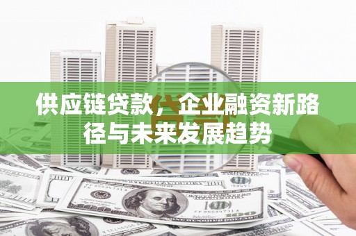 无极供应链贷款，企业融资新路径与未来发展趋势