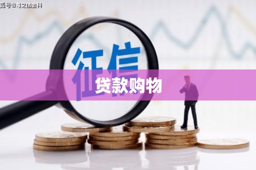 无极贷款购物