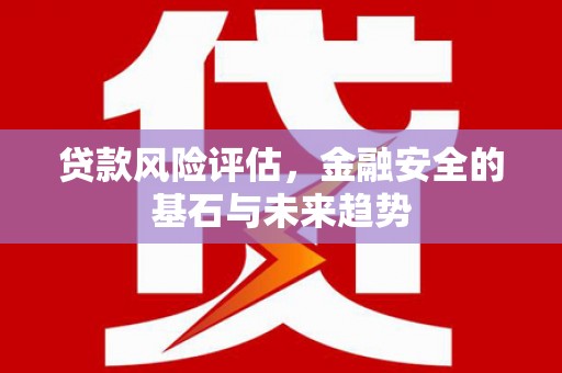 无极贷款风险评估，金融安全的基石与未来趋势