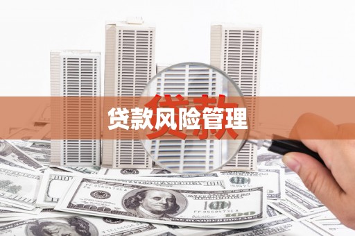 无极贷款风险管理