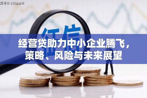 无极经营贷助力中小企业腾飞，策略、风险与未来展望