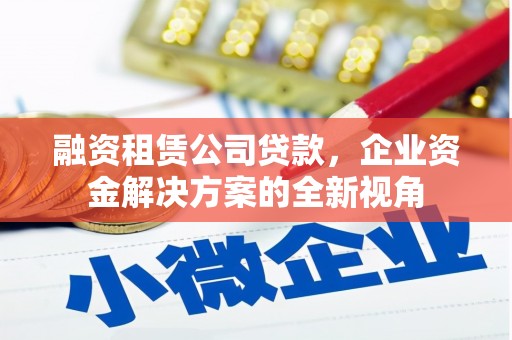 无极融资租赁公司贷款，企业资金解决方案的全新视角