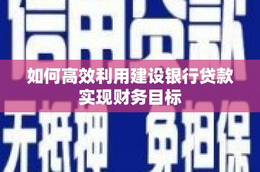 无极如何高效利用建设银行贷款实现财务目标