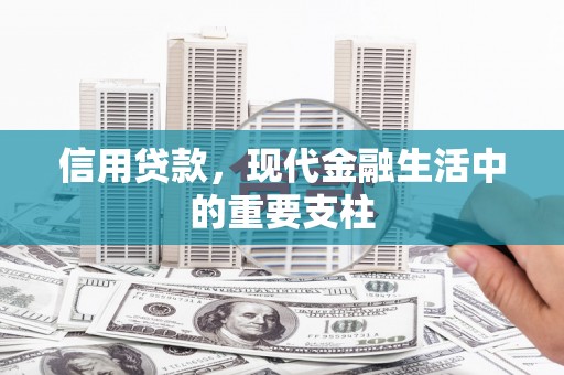 无极信用贷款，现代金融生活中的重要支柱