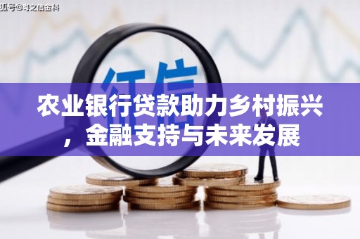 无极农业银行贷款助力乡村振兴，金融支持与未来发展