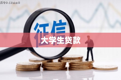 无极大学生贷款