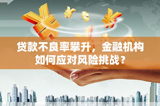 无极贷款不良率攀升，金融机构如何应对风险挑战？