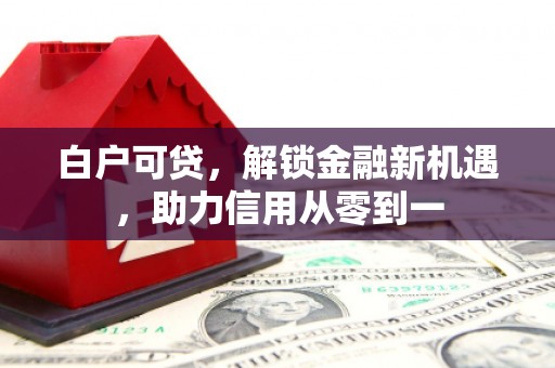 无极白户可贷，解锁金融新机遇，助力信用从零到一