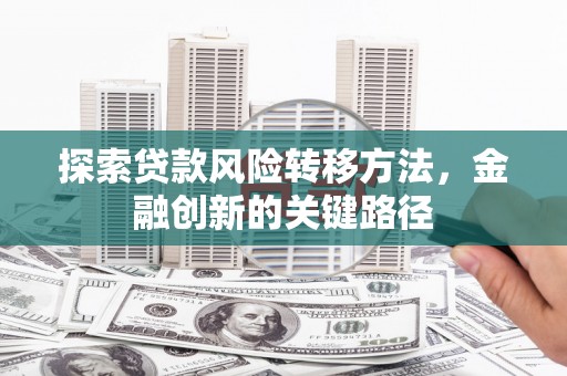 无极探索贷款风险转移方法，金融创新的关键路径