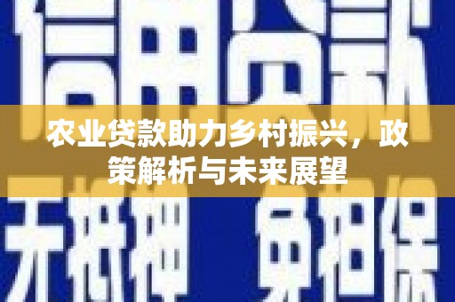 无极农业贷款助力乡村振兴，政策解析与未来展望