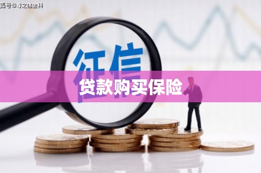 无极贷款购买保险