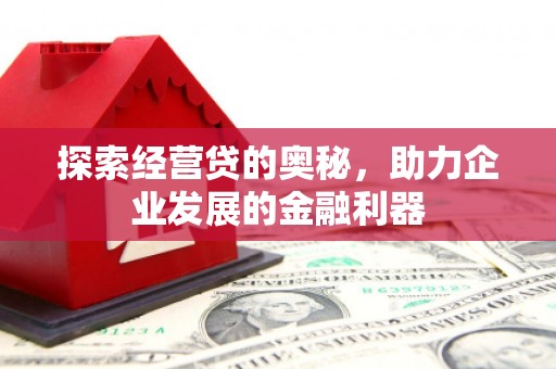 无极探索经营贷的奥秘，助力企业发展的金融利器