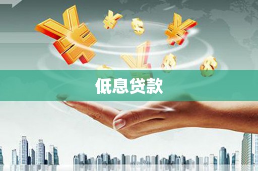 无极低息贷款