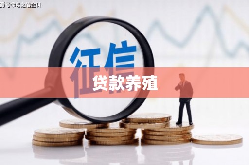 无极贷款养殖
