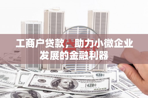 无极工商户贷款，助力小微企业发展的金融利器