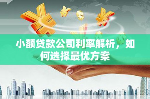 无极小额贷款公司利率解析，如何选择最优方案