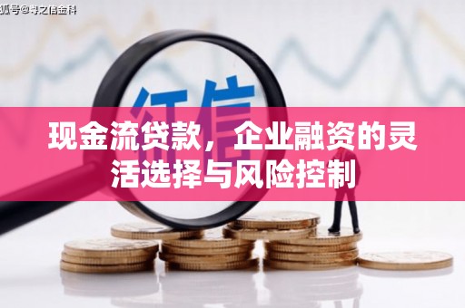 无极现金流贷款，企业融资的灵活选择与风险控制