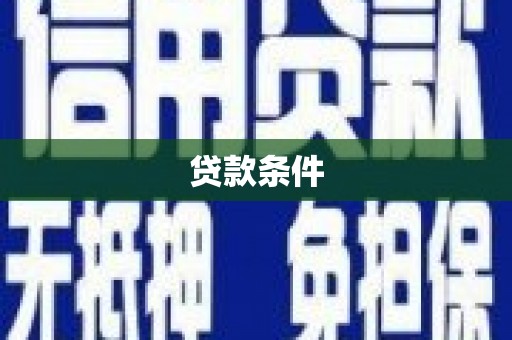无极贷款条件
