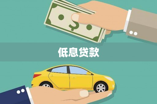 无极低息贷款
