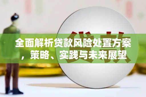 无极全面解析贷款风险处置方案，策略、实践与未来展望