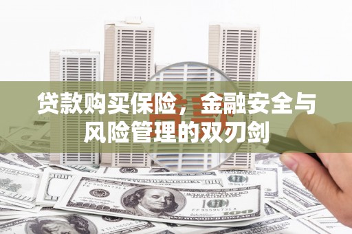 无极贷款购买保险，金融安全与风险管理的双刃剑