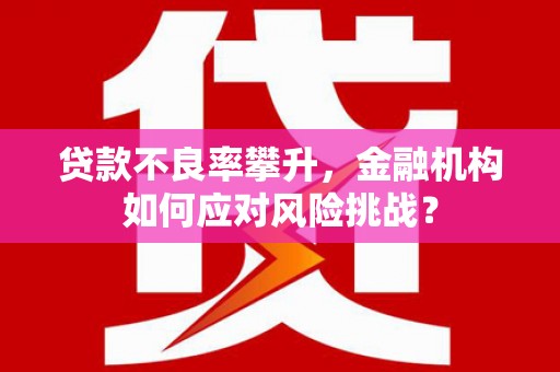 无极贷款不良率攀升，金融机构如何应对风险挑战？