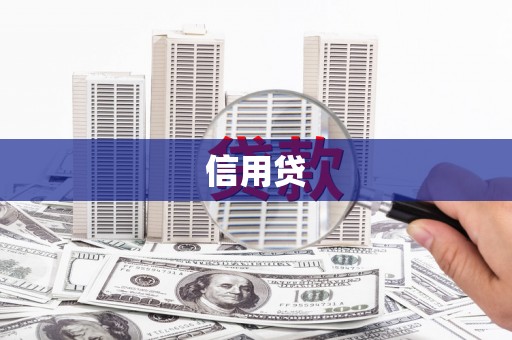 无极信用贷