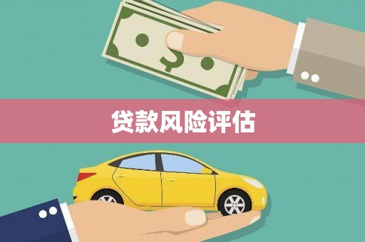 无极贷款风险评估