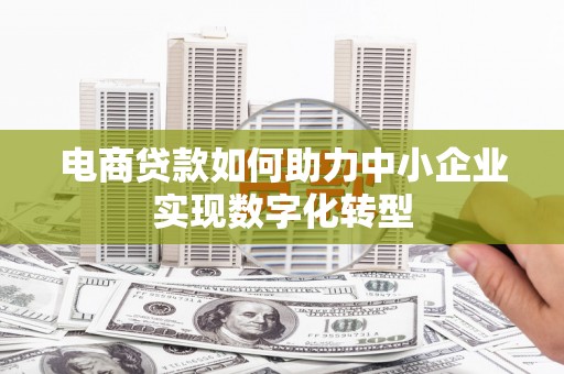 无极电商贷款如何助力中小企业实现数字化转型