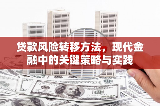 无极贷款风险转移方法，现代金融中的关键策略与实践