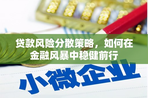 无极贷款风险分散策略，如何在金融风暴中稳健前行