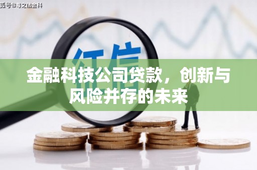 无极金融科技公司贷款，创新与风险并存的未来