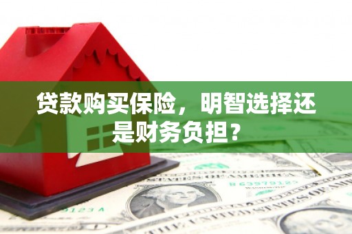 无极贷款购买保险，明智选择还是财务负担？