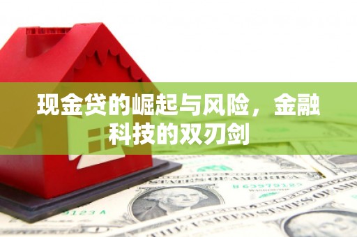 无极现金贷的崛起与风险，金融科技的双刃剑
