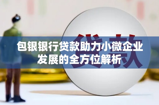 无极包银银行贷款助力小微企业发展的全方位解析