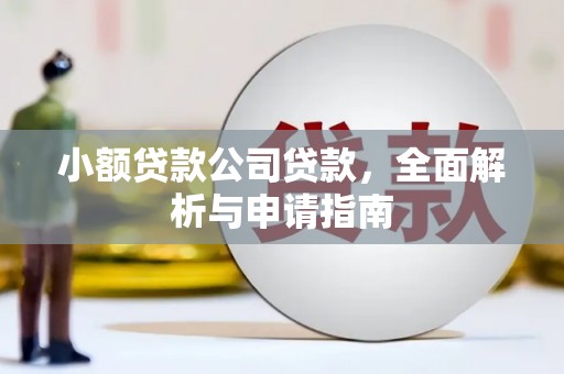 无极小额贷款公司贷款，全面解析与申请指南