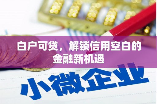无极白户可贷，解锁信用空白的金融新机遇
