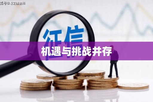 无极机遇与挑战并存