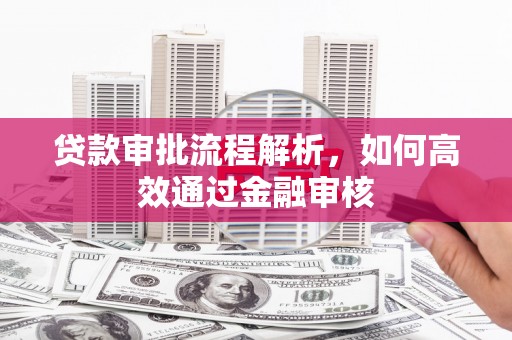 无极贷款审批流程解析，如何高效通过金融审核
