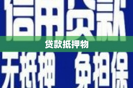 无极贷款抵押物