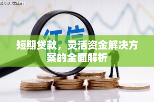 无极短期贷款，灵活资金解决方案的全面解析
