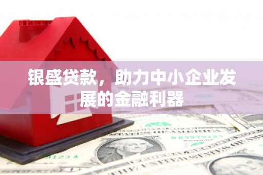无极银盛贷款，助力中小企业发展的金融利器