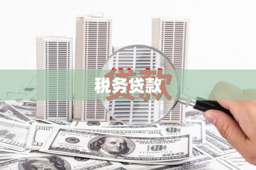 无极税务贷款